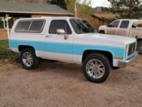 1987 Chevrolet Blazer for sale in Michigan (ID-106247)