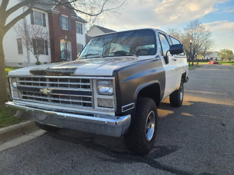 1987 Chevrolet Blazer for sale in Michigan (ID-116255)