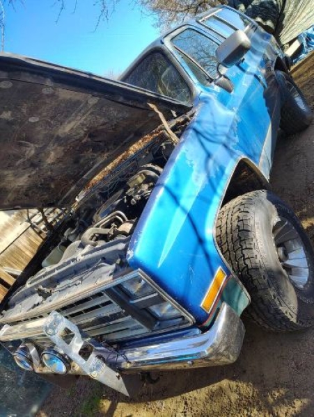 1987 Chevrolet Blazer for sale in Michigan (ID-141359) 1987 Chevrolet Blazer for sale in Michigan (ID-141359)
