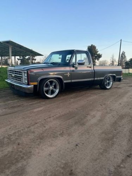 1987 Chevrolet C10 for sale in Michigan (ID-127693)