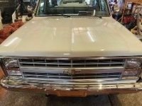 1987 Chevrolet C10 for sale in Michigan (ID-135535)
