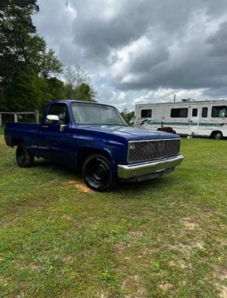 1987 Chevrolet C10 for sale in Michigan (ID-142948)