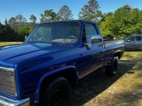 1987 Chevrolet C10 for sale in Michigan (ID-142948)