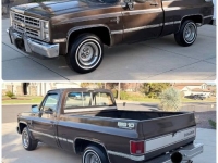1987 Chevrolet C10 for sale in Michigan (ID-155257)