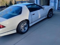 1987 Chevrolet Camaro for sale in Michigan (ID-127290)