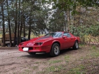 1987 Chevrolet Camaro for sale in Michigan (ID-130269)