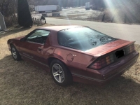 1987 Chevrolet Camaro for sale in Michigan (ID-161340)