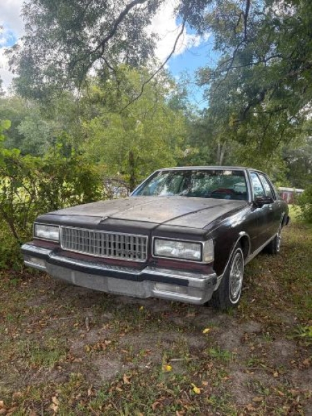 1987 Chevrolet Caprice for sale in Michigan (ID-145473)