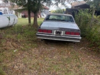 1987 Chevrolet Caprice for sale in Michigan (ID-145473)