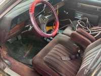 1987 Chevrolet Caprice for sale in Michigan (ID-145473)