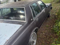 1987 Chevrolet Caprice for sale in Michigan (ID-145473)