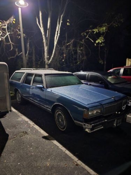 1987 Chevrolet Caprice Classic for sale in Michigan (ID-113018)