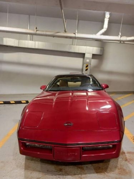 1987 Chevrolet Corvette for sale in Michigan (ID-115612) 1987 Chevrolet Corvette for sale in Michigan (ID-115612)