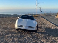 1987 Chevrolet Corvette for sale in Michigan (ID-125921)