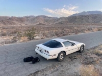 1987 Chevrolet Corvette for sale in Michigan (ID-125921)