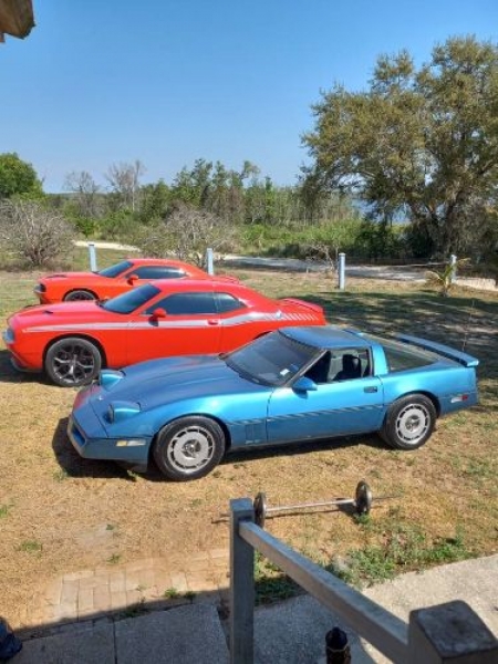 1987 Chevrolet Corvette for sale in Michigan (ID-126209) 1987 Chevrolet Corvette for sale in Michigan (ID-126209)