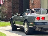 1987 Chevrolet Corvette for sale in Michigan (ID-130848)