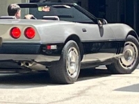 1987 Chevrolet Corvette for sale in Michigan (ID-130848)