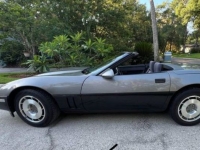 1987 Chevrolet Corvette for sale in Michigan (ID-130848)