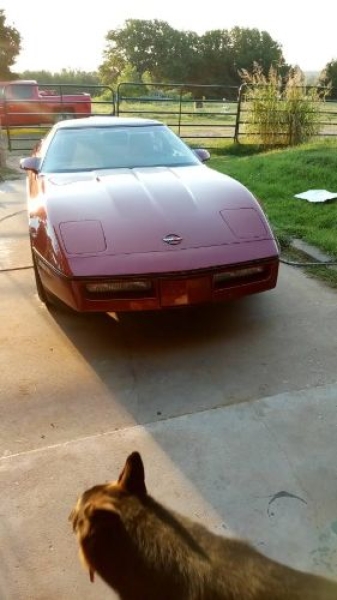 1987 Chevrolet Corvette for sale in Michigan (ID-135070)
