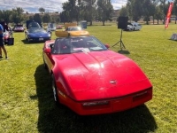 1987 Chevrolet Corvette for sale in Michigan (ID-140719)