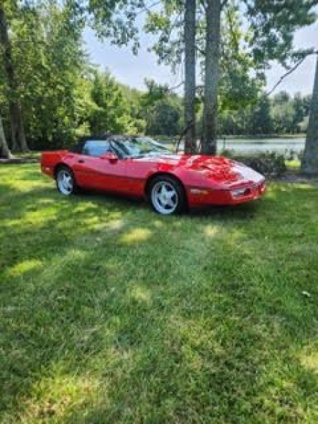 1987 Chevrolet Corvette for sale in Michigan (ID-144174)
