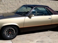 1987 Chevrolet El Camino for sale in Michigan (ID-117836)