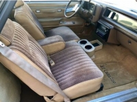 1987 Chevrolet El Camino for sale in Michigan (ID-117836)