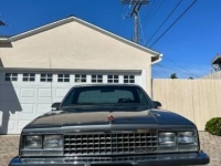 1987 Chevrolet El Camino for sale in Michigan (ID-133975)