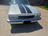 1987 Chevrolet El Camino for sale in Michigan (ID-163893)