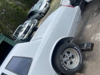 1987 Chevrolet Monte Carlo for sale in Michigan (ID-120932)