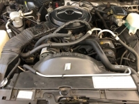 1987 Chevrolet Monte Carlo for sale in Michigan (ID-125477)