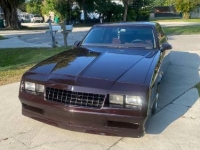 1987 Chevrolet Monte Carlo for sale in Michigan (ID-130971)
