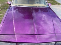 1987 Chevrolet Monte Carlo for sale in Michigan (ID-131294)