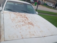 1987 Chevrolet Monte Carlo for sale in Michigan (ID-136668)