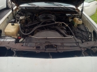1987 Chevrolet Monte Carlo for sale in Michigan (ID-136668)