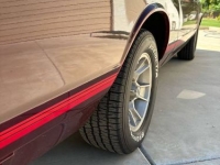 1987 Chevrolet Monte Carlo for sale in Michigan (ID-136772)