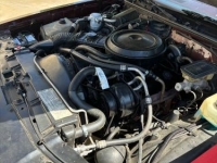 1987 Chevrolet Monte Carlo for sale in Michigan (ID-136772)