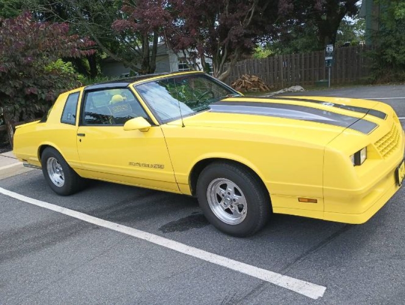 1987 Chevrolet Monte Carlo for sale in Michigan (ID-142008)