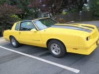 1987 Chevrolet Monte Carlo for sale in Michigan (ID-142008)