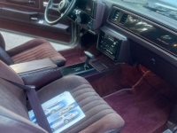 1987 Chevrolet Monte Carlo for sale in Michigan (ID-146087)