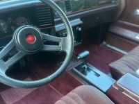 1987 Chevrolet Monte Carlo for sale in Michigan (ID-146087)