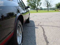 1987 Chevrolet Monte Carlo for sale in Michigan (ID-161194)