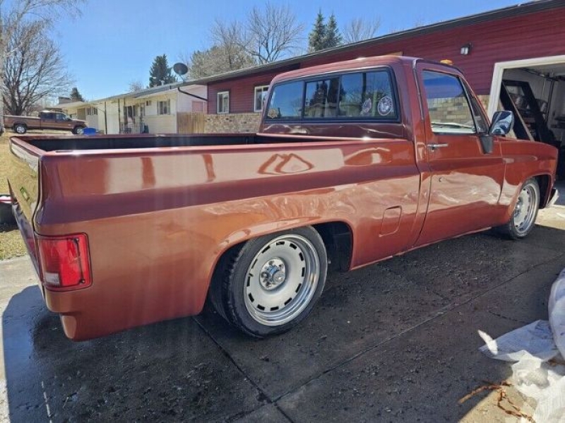 1987 Chevrolet R10 for sale in Michigan (ID-141947)