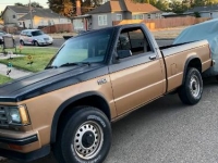 1987 Chevrolet S10 for sale in Michigan (ID-123403)