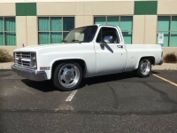 1987 Chevrolet Silverado for sale in Michigan (ID-117053)