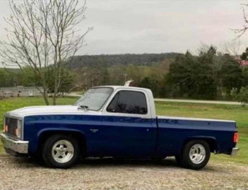 1987 Chevrolet Silverado for sale in Michigan (ID-125605)