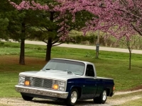 1987 Chevrolet Silverado for sale in Michigan (ID-125605)
