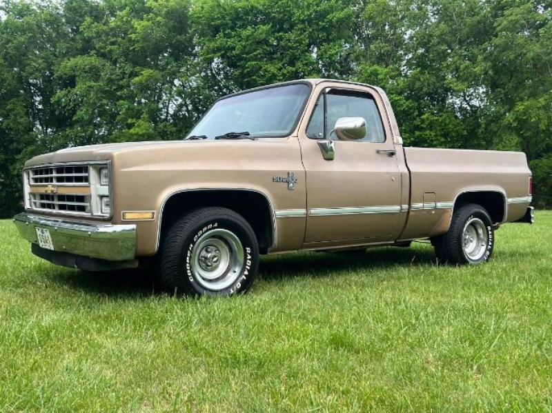 1987 Chevrolet Silverado for sale in Michigan (ID-130248)