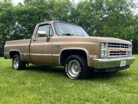 1987 Chevrolet Silverado for sale in Michigan (ID-130248)